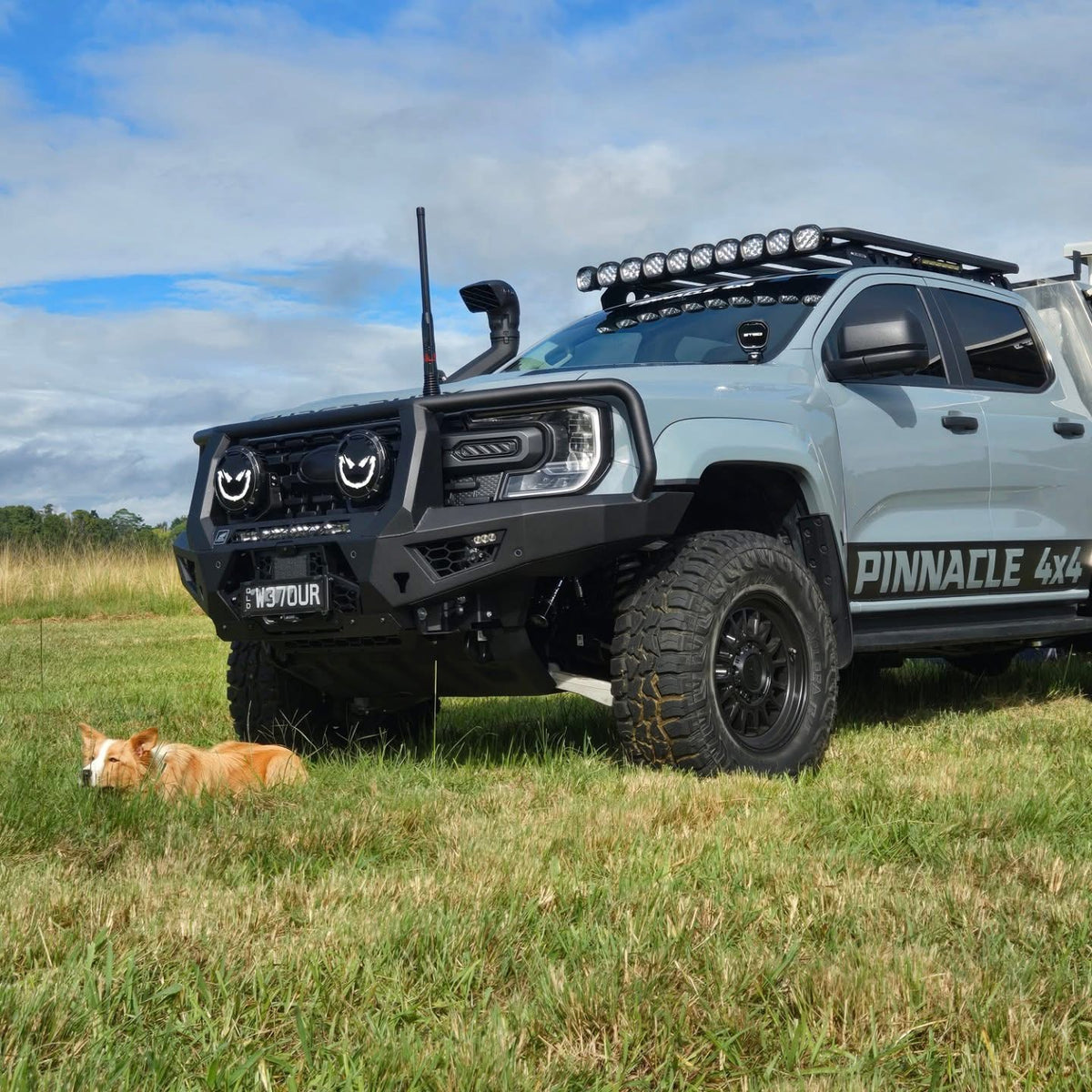 Toro Bull Bar for Ford Ranger Super Duty