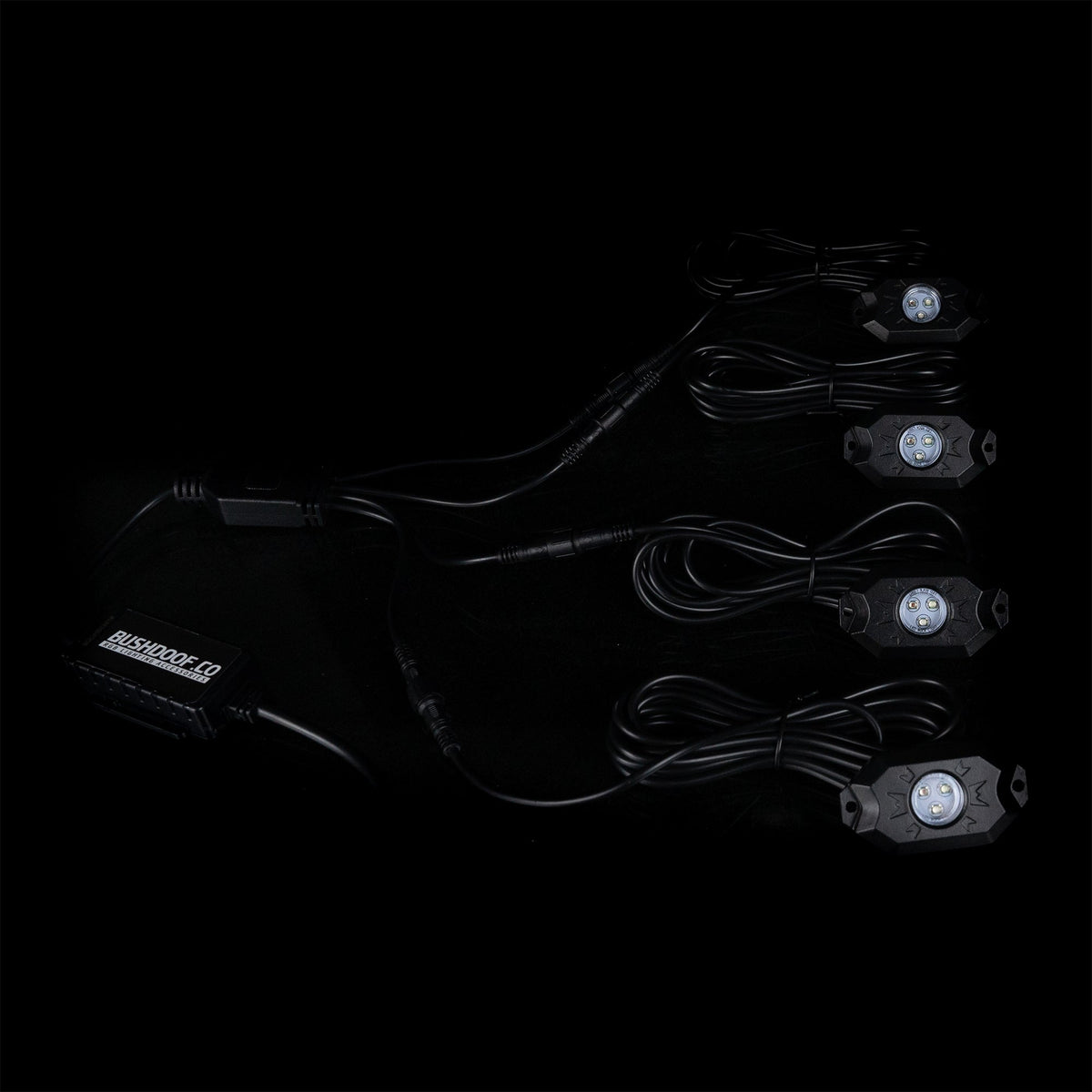 RGB Rock Light Controller - Bushdoof Lighting