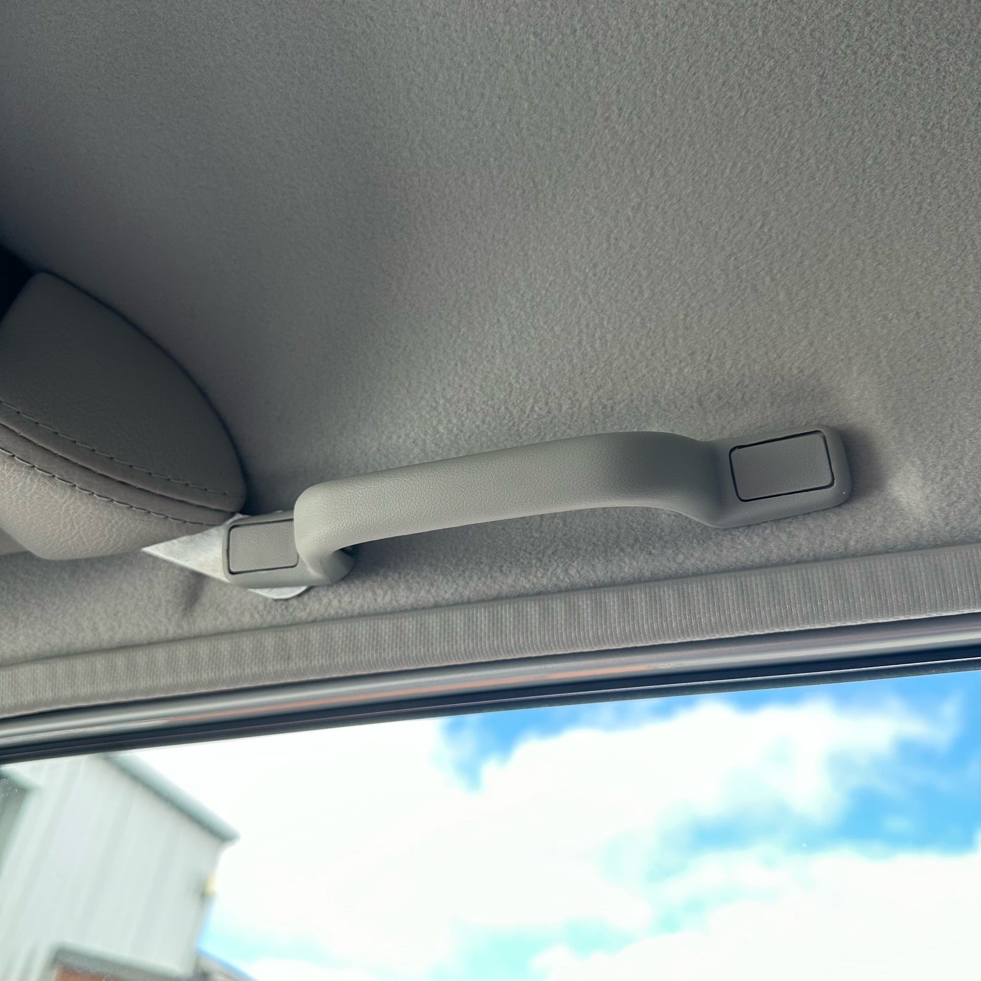 Genuine Grab Handle